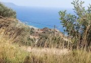 Ag. Paraskevi bei Triopetra Kreta, Agia Paraskevi: Grundstück im Süden zum Verkauf Grundstück kaufen